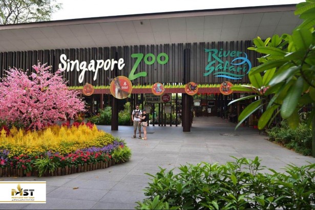 سنگاپور را پیش از دیدن جذاب‌ترین باغ‌وحش دنیا ترک نکنید!
