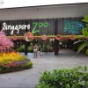 سنگاپور را پیش از دیدن جذاب‌ترین باغ‌وحش دنیا ترک نکنید!