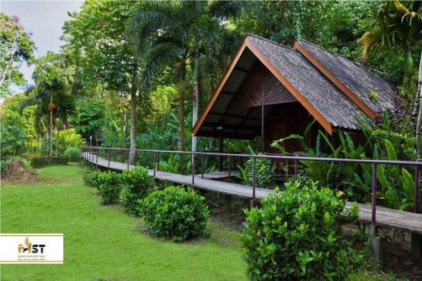 برترین کلبه‌های جنگلی تایلند 