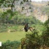 پنج پارک ملی تایلند ؛ از جنگل‌های بارانی تا زندگی با فیل‌ها