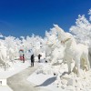 گشت و گذاری خاطره‌انگیز در پارک یخ سیام پاتایا