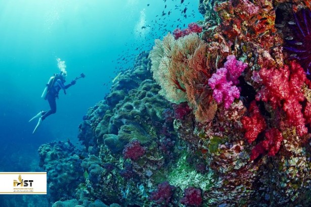 جزایر سیمیلان تایلند بهشت تفریحات آبی