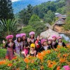 بهترین پارک‌های ملی چیانگ مای: بخش دوم