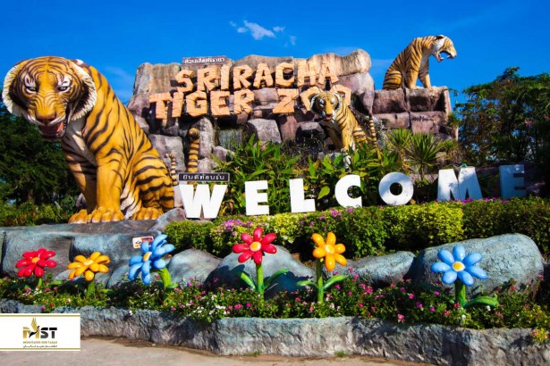 ۱۰ باغ وحش از هیجان‌انگیز در تایلند