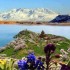 راهنمای سفر به وان برای گردشگران تور ترکیه