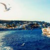 شش فعالیتی که باید در جزایر پرنسس استانبول انجام بدهید