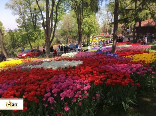 رویایی‌ترین پارک‌های استانبول در فصل بهار