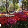 رویایی‌ترین پارک‌های استانبول در فصل بهار