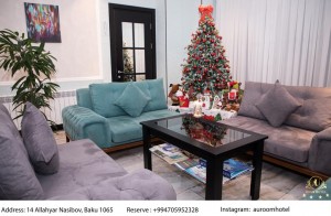 hotels-Baku-Auroom-234611143-e44c25902450a1277b9e6c18ffbb1521.jpg