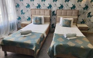 hotels-Baku-Eco-Hotel-Old-475805548-bb880fb51c6b9371b902060267e97128.jpg