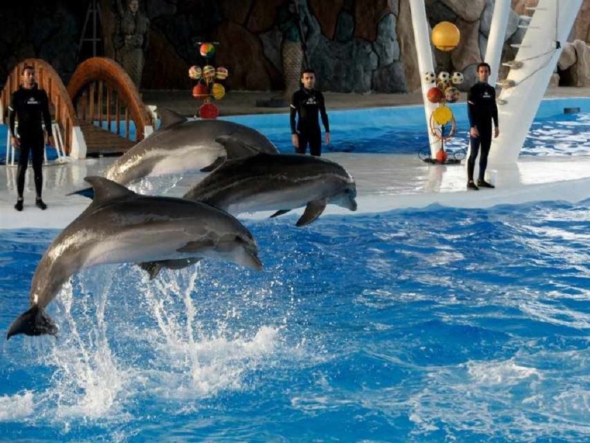 پارک دلفین ها
