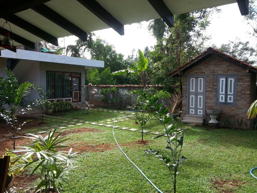 hotels-Sri-Lanka-Negombo-Green-Wood-Villa-garden-26ba2c9637d85cfabc7a35aea816c669.jpg