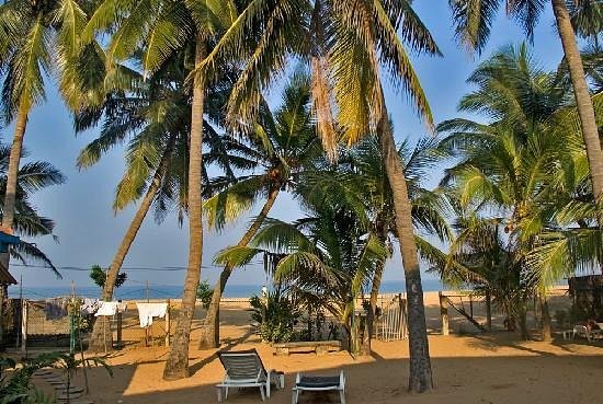 hotels-Sri-Lanka-Negombo-Star-Beach-Guest-House-de-tuin-en-het-strand-26ba2c9637d85cfabc7a35aea816c669.jpg