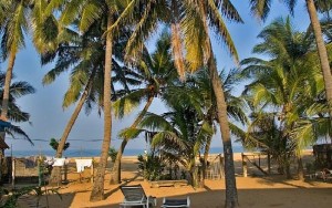 hotels-Sri-Lanka-Negombo-Star-Beach-Guest-House-de-tuin-en-het-strand-bb880fb51c6b9371b902060267e97128.jpg