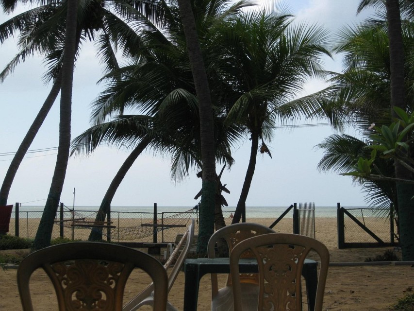 hotels-Sri-Lanka-Negombo-Star-Beach-Guest-House-hotel-starbeach-26ba2c9637d85cfabc7a35aea816c669.jpg