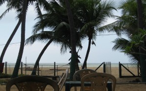 hotels-Sri-Lanka-Negombo-Star-Beach-Guest-House-hotel-starbeach-bb880fb51c6b9371b902060267e97128.jpg