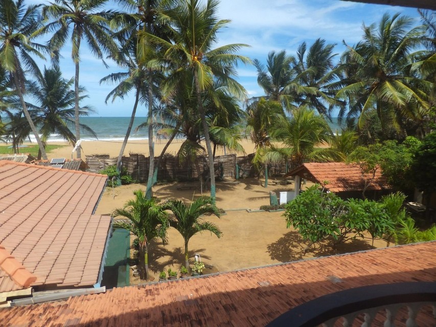hotels-Sri-Lanka-Negombo-Star-Beach-Guest-House-star-beach-hotel-26ba2c9637d85cfabc7a35aea816c669.jpg