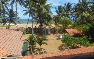 hotels-Sri-Lanka-Negombo-Star-Beach-Guest-House-star-beach-hotel-bb880fb51c6b9371b902060267e97128.jpg