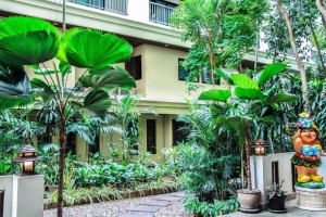hotels-Thailand-Pattaya-Mike-Garden-Resort-197766545-e44c25902450a1277b9e6c18ffbb1521.jpg