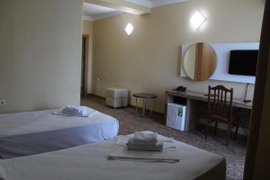 hotels-georgia-batumi-Genatsvale-197483966-e44c25902450a1277b9e6c18ffbb1521.jpg