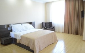 hotels-georgia-batumi-Skyline-147870791-bb880fb51c6b9371b902060267e97128.jpg