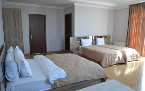 hotels-georgia-batumi-Skyline-184612788-bb880fb51c6b9371b902060267e97128.jpg