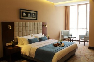 hotels-georgia-tbilisi-Hotel-Horizont-204484079-e44c25902450a1277b9e6c18ffbb1521.jpg