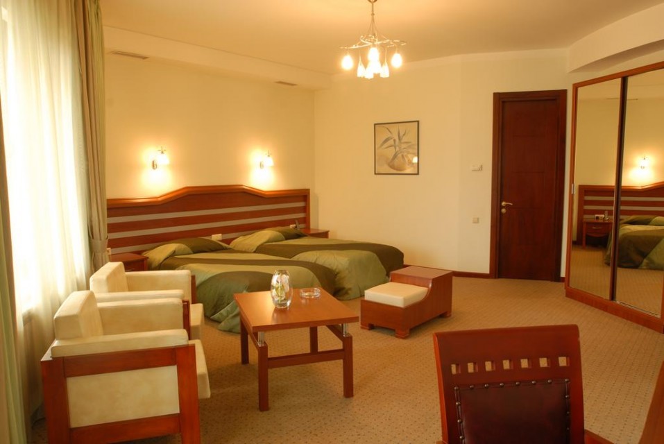 hotels-georgia-tbilisi-Hotel-Vedzisi-اتاق۱-26ba2c9637d85cfabc7a35aea816c669.jpg