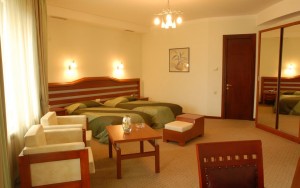hotels-georgia-tbilisi-Hotel-Vedzisi-اتاق۱-bb880fb51c6b9371b902060267e97128.jpg