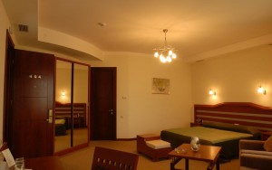 hotels-georgia-tbilisi-Hotel-Vedzisi-اتاق۱۰-bb880fb51c6b9371b902060267e97128.jpg