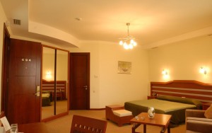 hotels-georgia-tbilisi-Hotel-Vedzisi-اتاق۴-bb880fb51c6b9371b902060267e97128.jpg