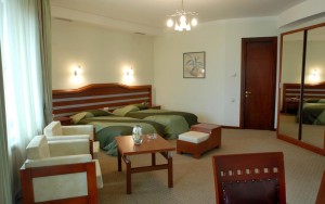 hotels-georgia-tbilisi-Hotel-Vedzisi-اتاق۷-bb880fb51c6b9371b902060267e97128.jpg