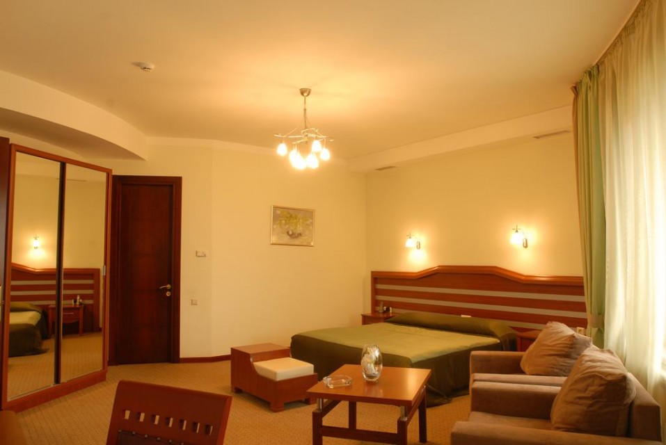 hotels-georgia-tbilisi-Hotel-Vedzisi-اتاق۹-26ba2c9637d85cfabc7a35aea816c669.jpg