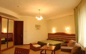 hotels-georgia-tbilisi-Hotel-Vedzisi-اتاق۹-bb880fb51c6b9371b902060267e97128.jpg