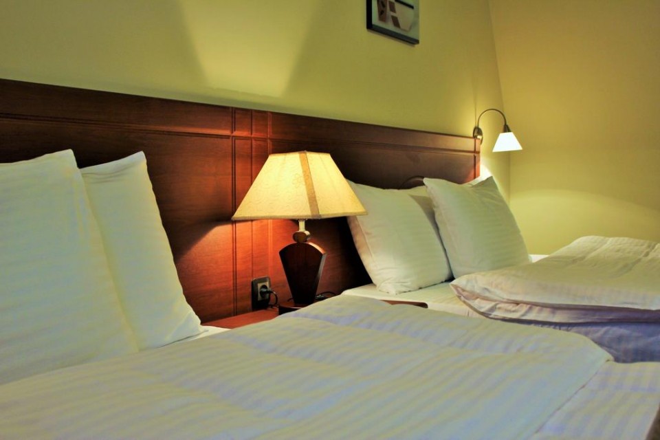 hotels-georgia-tbilisi-Tbilotel-Hotel-اتاق-26ba2c9637d85cfabc7a35aea816c669.jpg