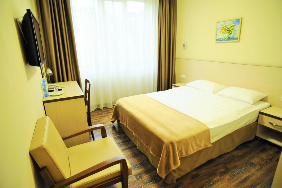 hotels-georgia-tbilisi-Tbilotel-Hotel-اتاق۸-26ba2c9637d85cfabc7a35aea816c669.jpg