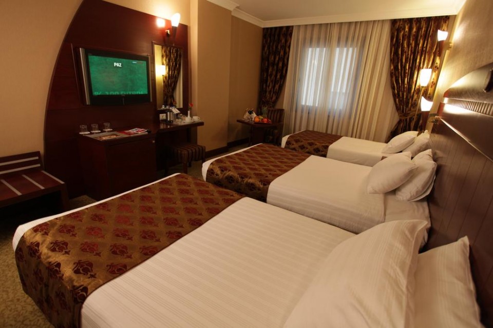 hotels-turkey-istanbul-Golden-Park-Hotel-اتاق13-26ba2c9637d85cfabc7a35aea816c669.jpg