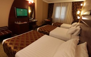 hotels-turkey-istanbul-Golden-Park-Hotel-اتاق13-bb880fb51c6b9371b902060267e97128.jpg