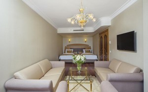 hotels-turkey-istanbul-Golden-Park-Hotel-اتاق3-bb880fb51c6b9371b902060267e97128.jpg