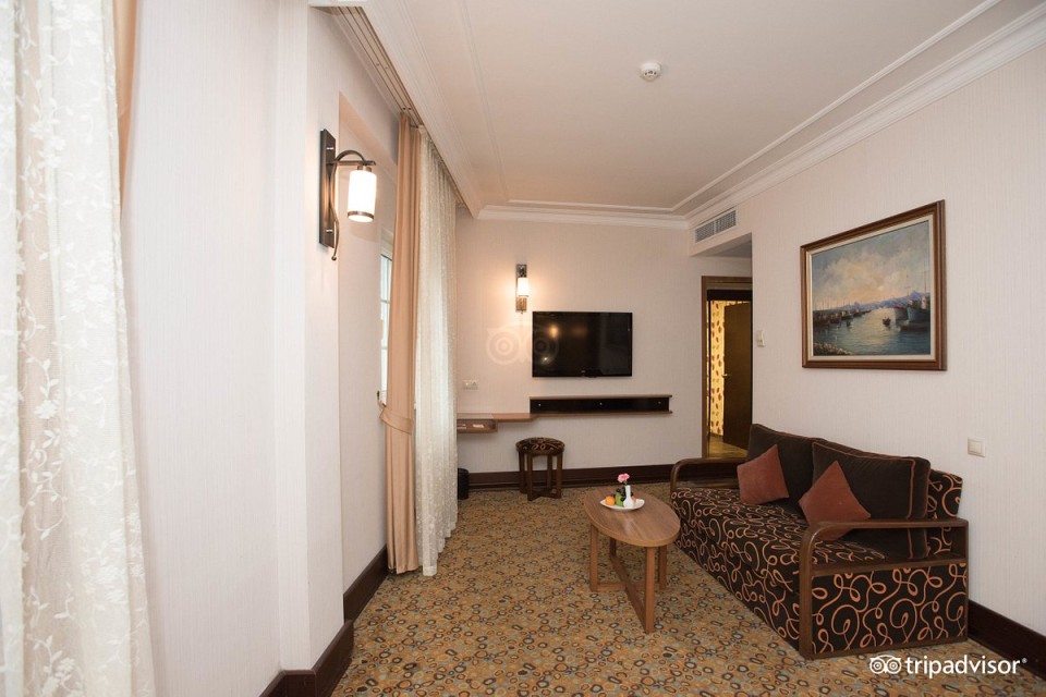 hotels-turkey-istanbul-hotel-Konak-istanbul-junior-suite--v15330295-26ba2c9637d85cfabc7a35aea816c669.jpg