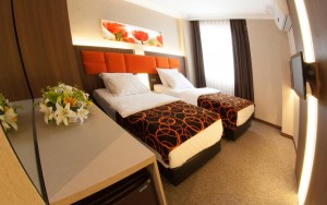 hotels-turkey-istanbul-hotel-birbey-istanbul-birbey-(room3)-bb880fb51c6b9371b902060267e97128.jpg