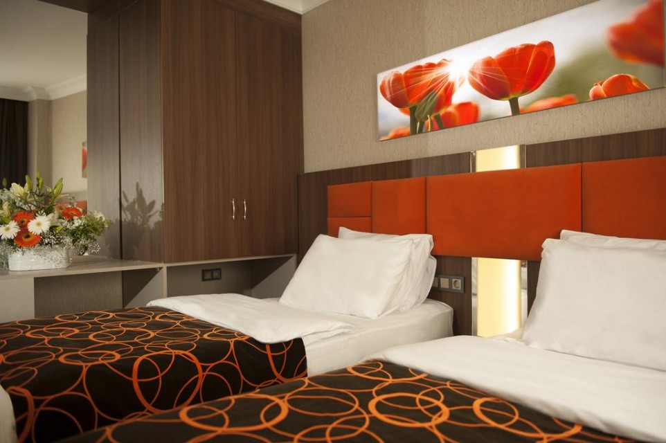 hotels-turkey-istanbul-hotel-birbey-istanbul-birbey-(room4)-26ba2c9637d85cfabc7a35aea816c669.jpg