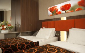 hotels-turkey-istanbul-hotel-birbey-istanbul-birbey-(room4)-bb880fb51c6b9371b902060267e97128.jpg