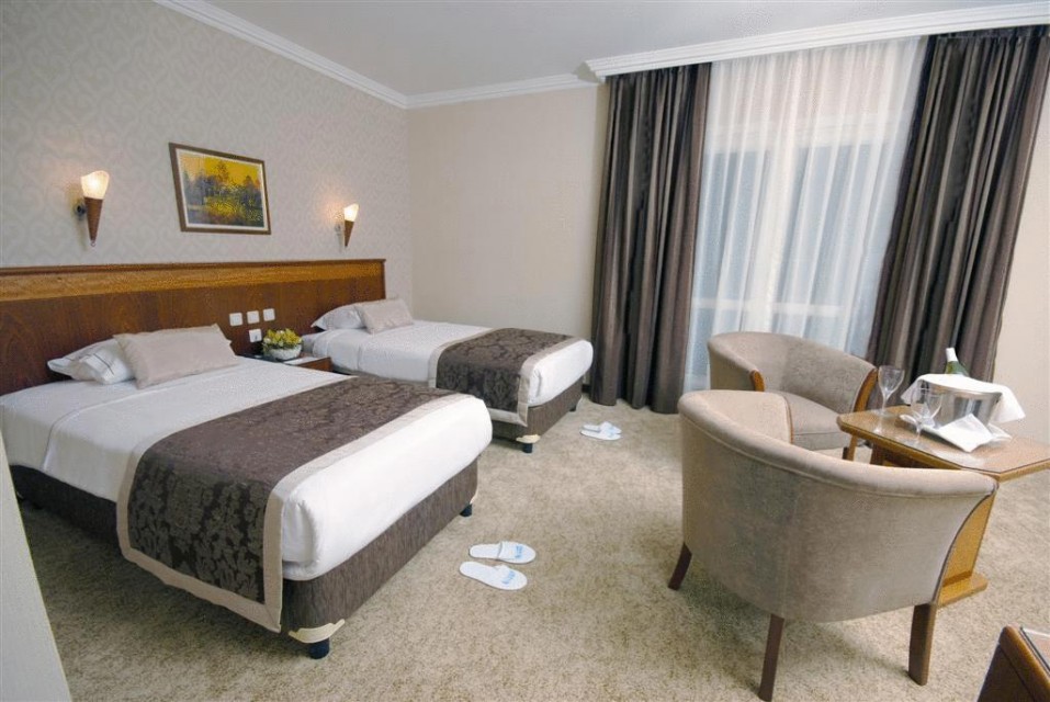 هتل لیون استانبول Hotel Lion Istanbul | مقتدر سیر