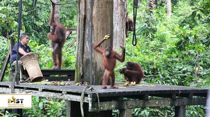 با شگفت‌انگیزترین باغ وحش‌های جنوب شرقی آسیا آشنا شوید