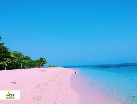 ۱۲ ساحل برتر صورتی در دنیا را بشناسید