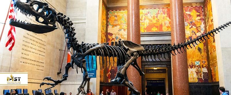 موزه‌هایی برای رویارویی با دنیای جذاب دایناسورها