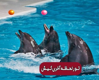 آفر تور کیش 30 آذر 97 آفر تور کیش 30 آذر 97