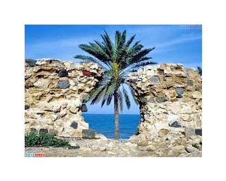 تور قشم اسفند 98 ( با قطار ) تور قشم اسفند 98 ( با قطار )