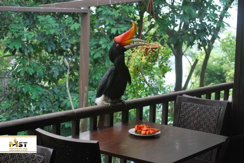 باغ پرندگان در کوالالامپور